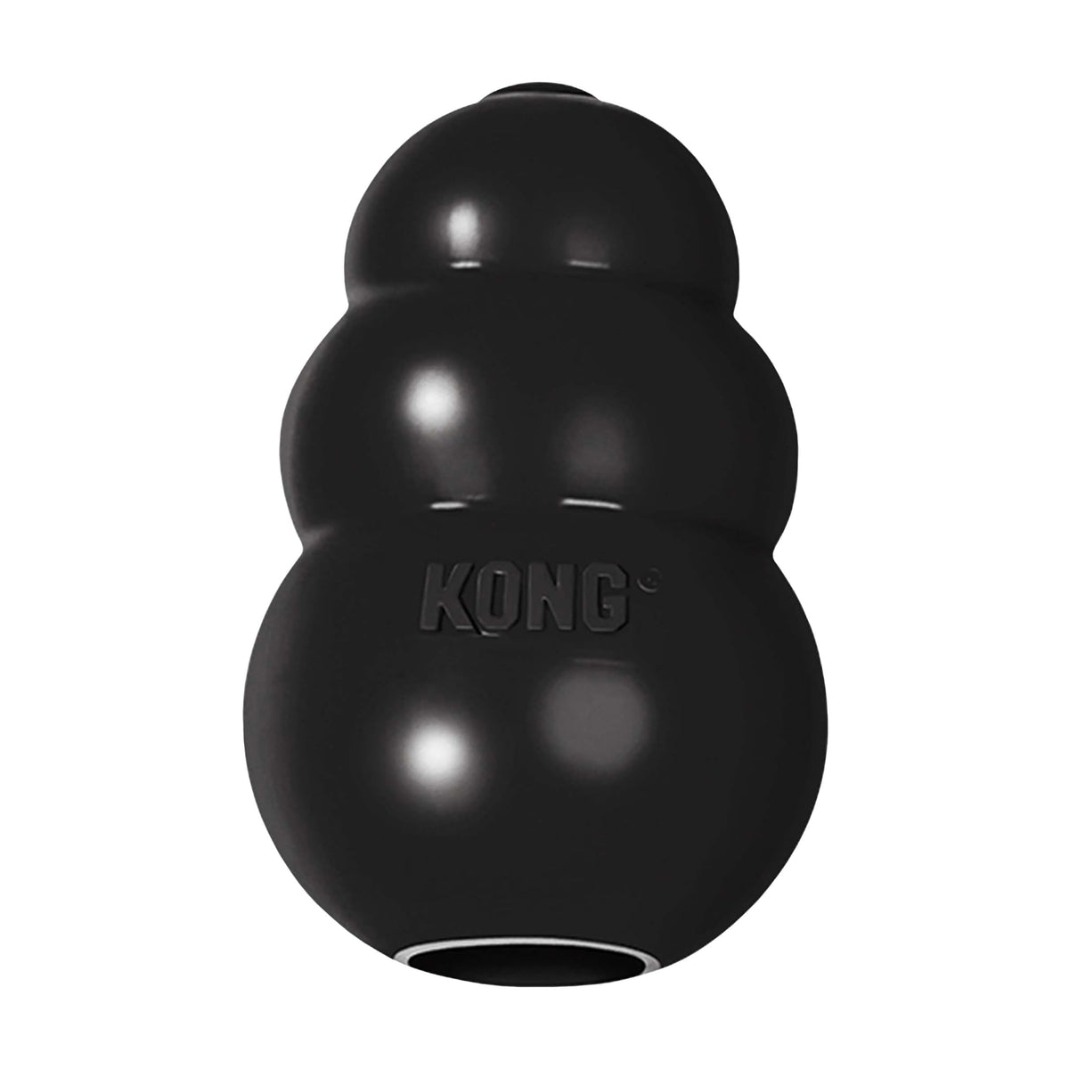 KONG Extreme fetch-toy demonstrates durable play for power-chewer sessions.