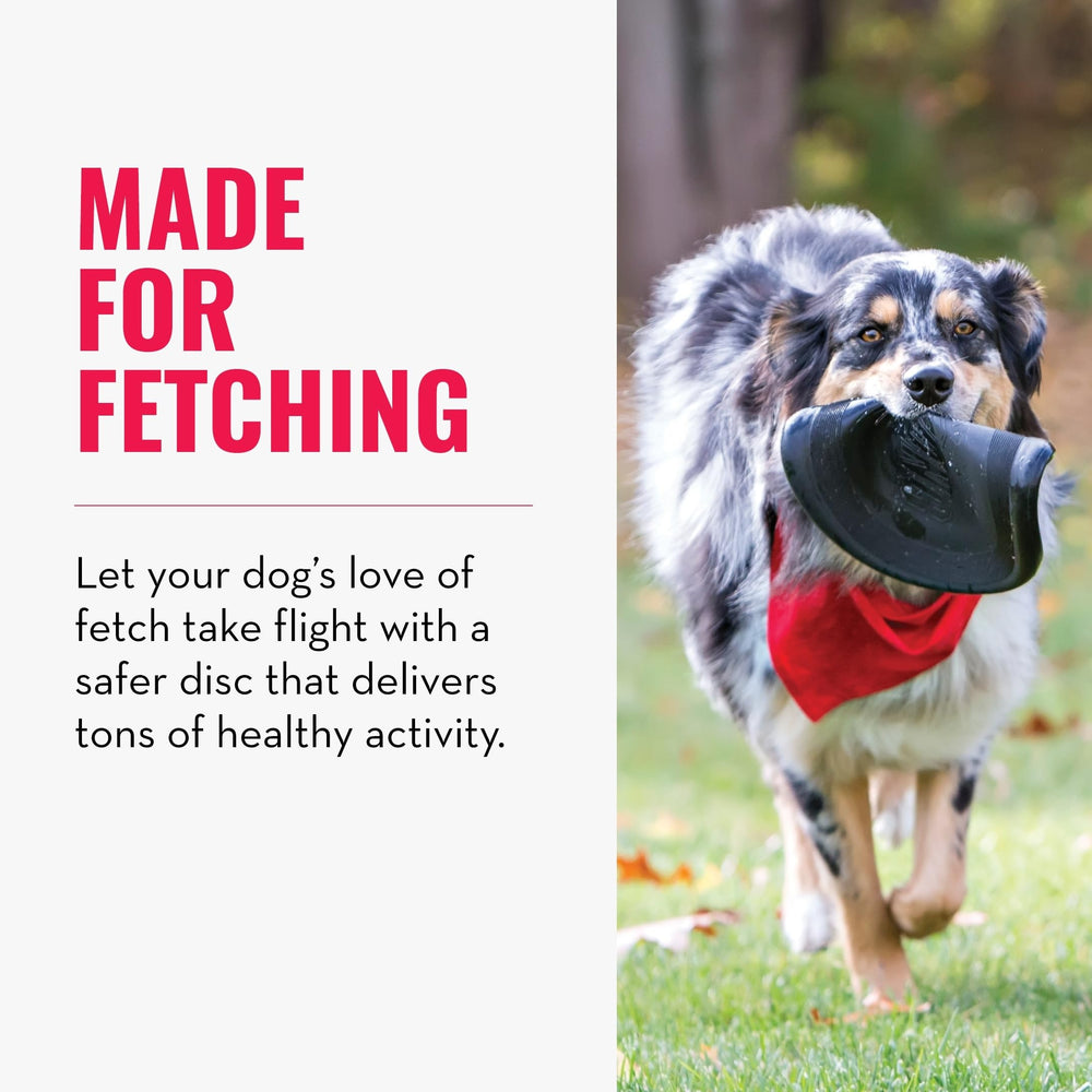 KONG Extreme Flyer disc in flight illustrating exciting fetch and retrieval