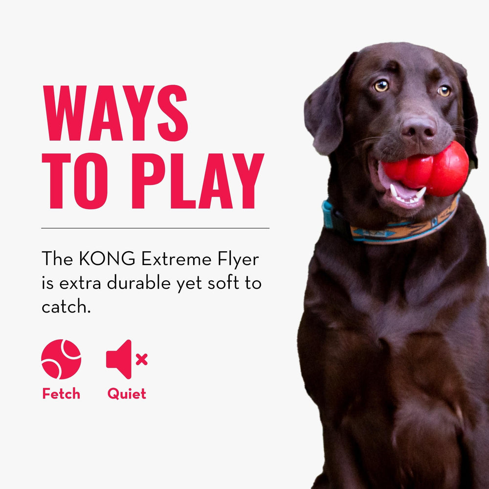 KONG Extreme Flyer used by a large dog during safe, soft-rebound play
