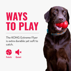 KONG Extreme Flyer used by a large dog during safe, soft-rebound play