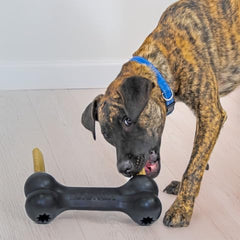 KONG Extreme Goodie Bone rubber texture closeup showing durable material