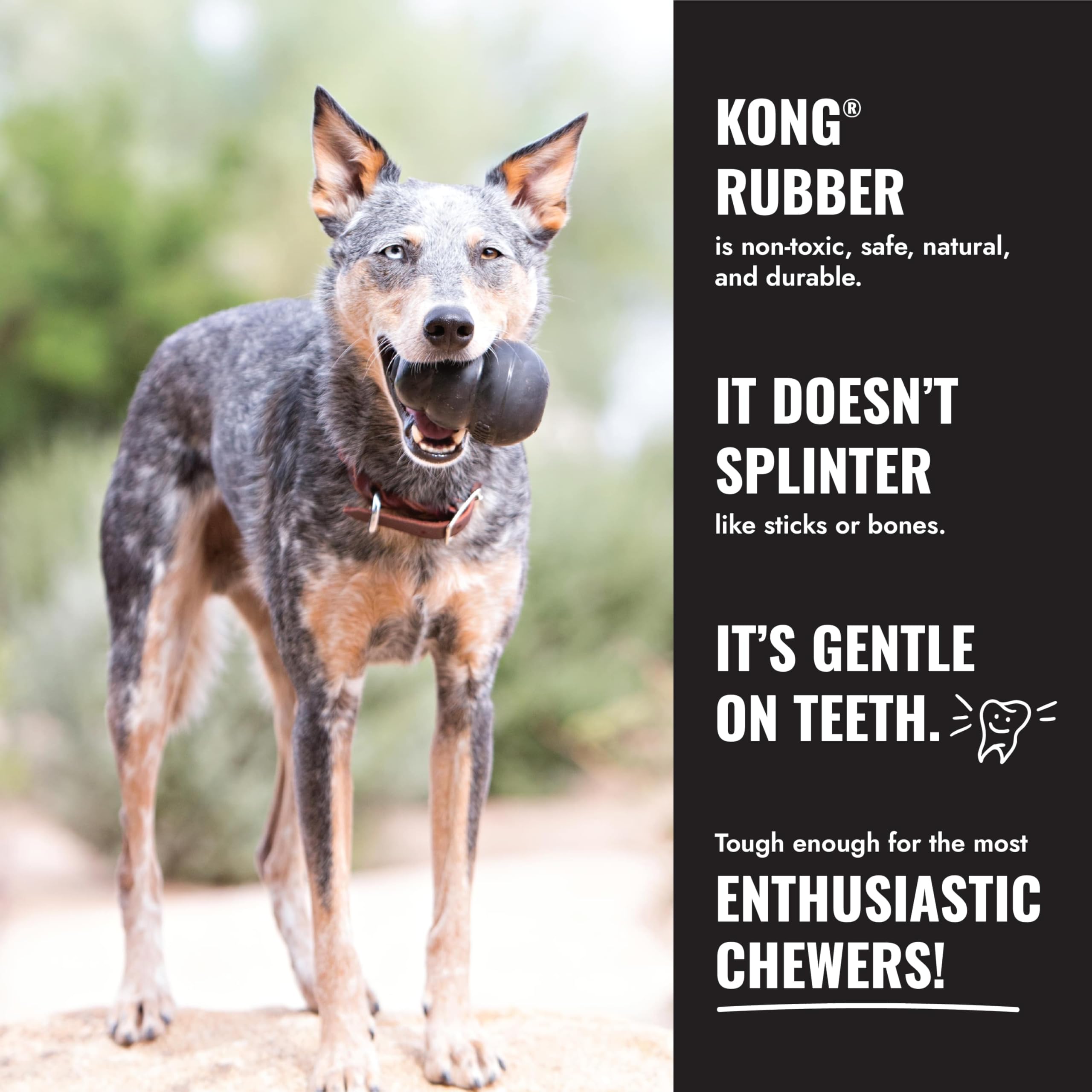 KONG Extreme Goodie Bone stuffing easy treat ready image