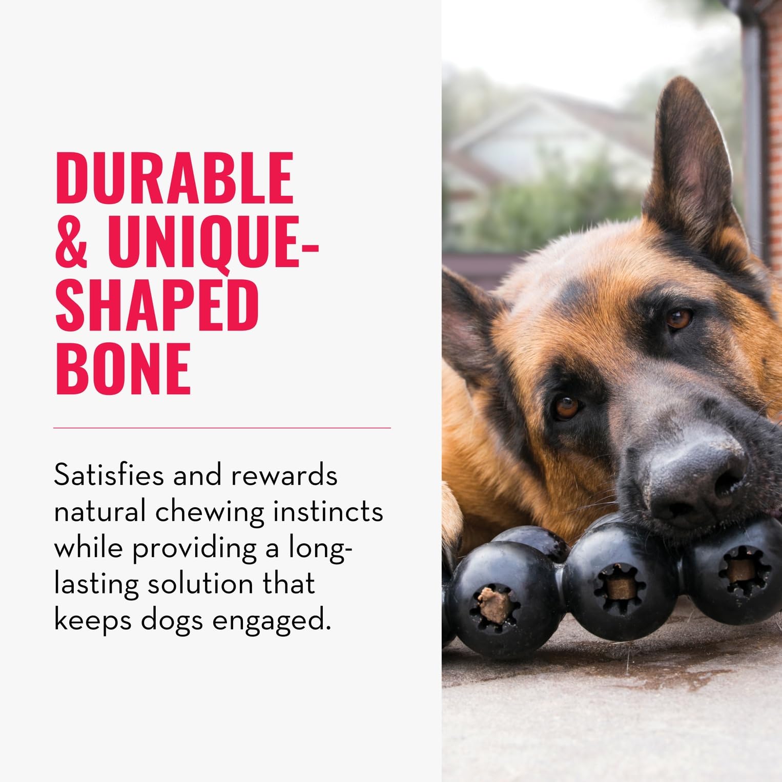 KONG Extreme Goodie Ribbon ridged interior for engaging treat retrieval