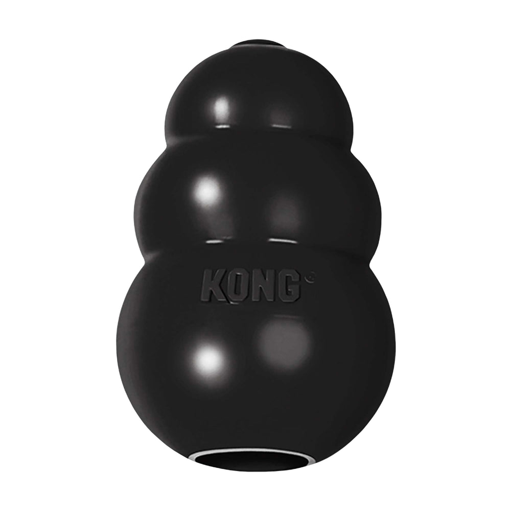 KONG Extreme mostrando mordida duradera, ideal para perros grandes y juegos intensos.