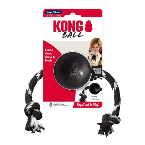 KONG Extreme para perros grandes en parque y exterior