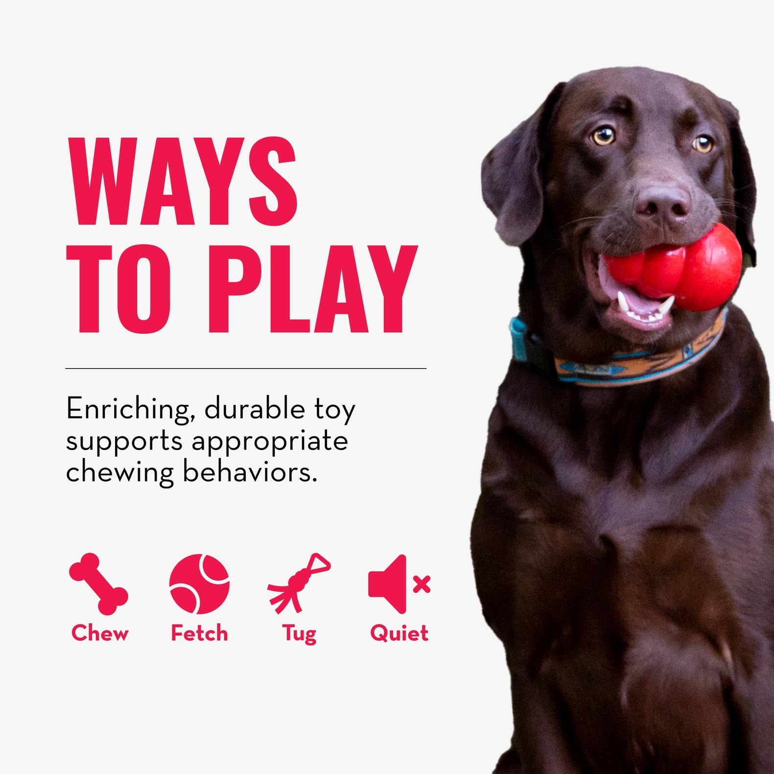 KONG Extreme Ring playtime enrichment scene illustrates engaging, durable fun for large dogs.