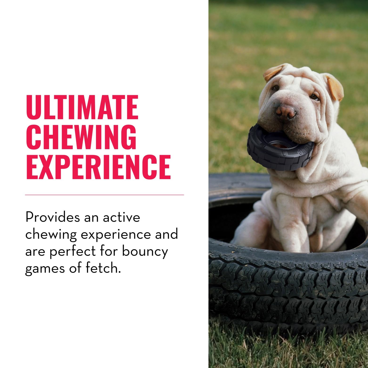 KONG Extreme Tires in action for bouncy fetch and interactive play.