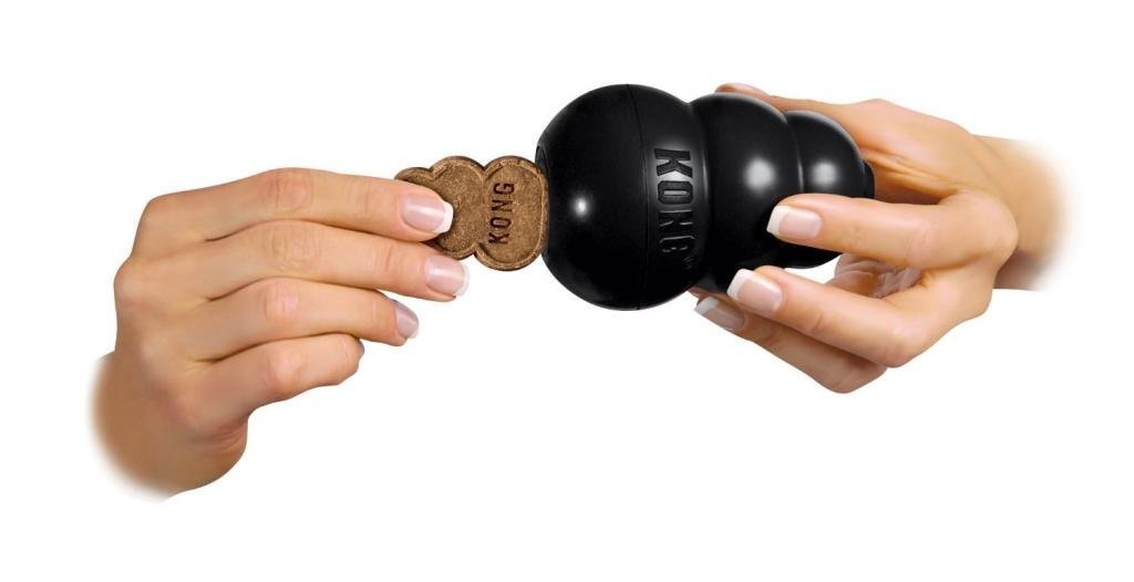 Kong Extreme treat-stuffing idea showcases interactive play and mental engagement