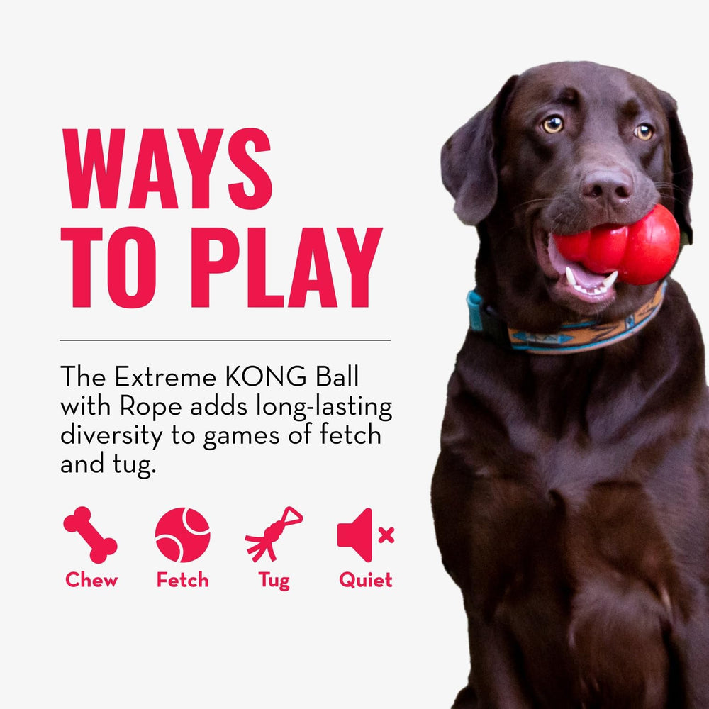 Uso diario de la pelota KONG Extreme en actividades de juego