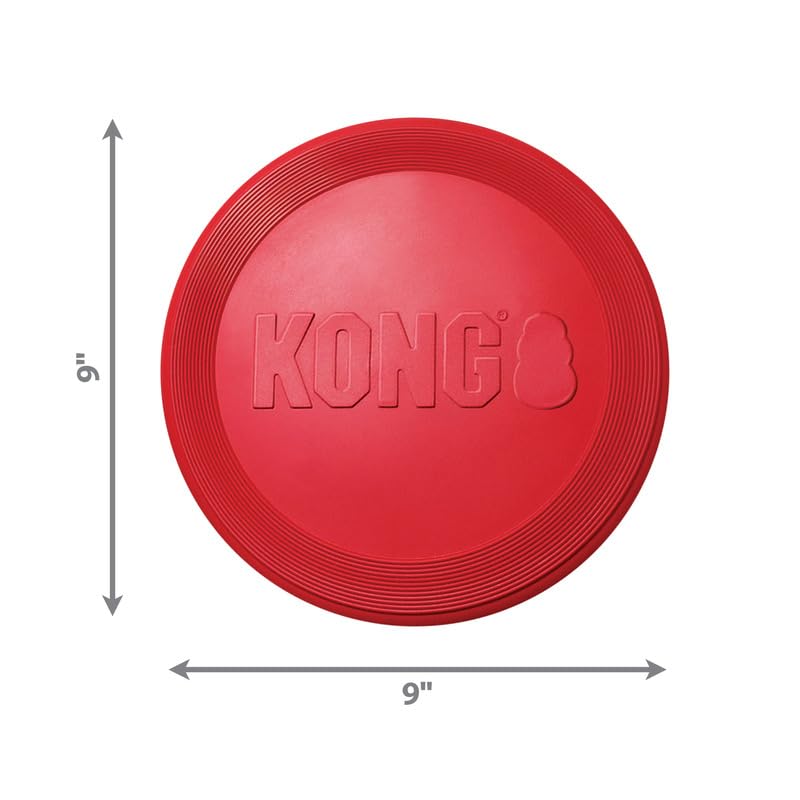 KONG Flyer dog fetch action captures energetic retrieval and bonding moments