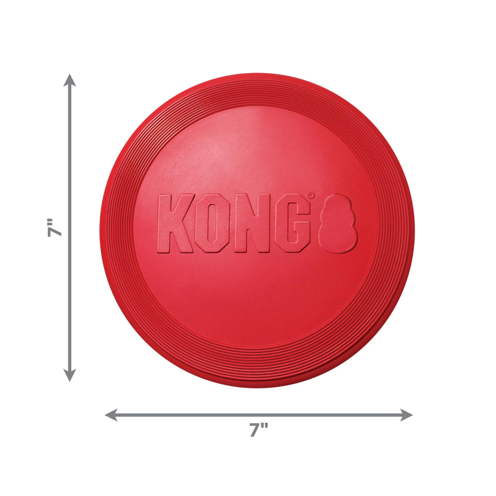 KONG Flyer bounce-dynamics showcases dynamic rebound for extended fetching sessions