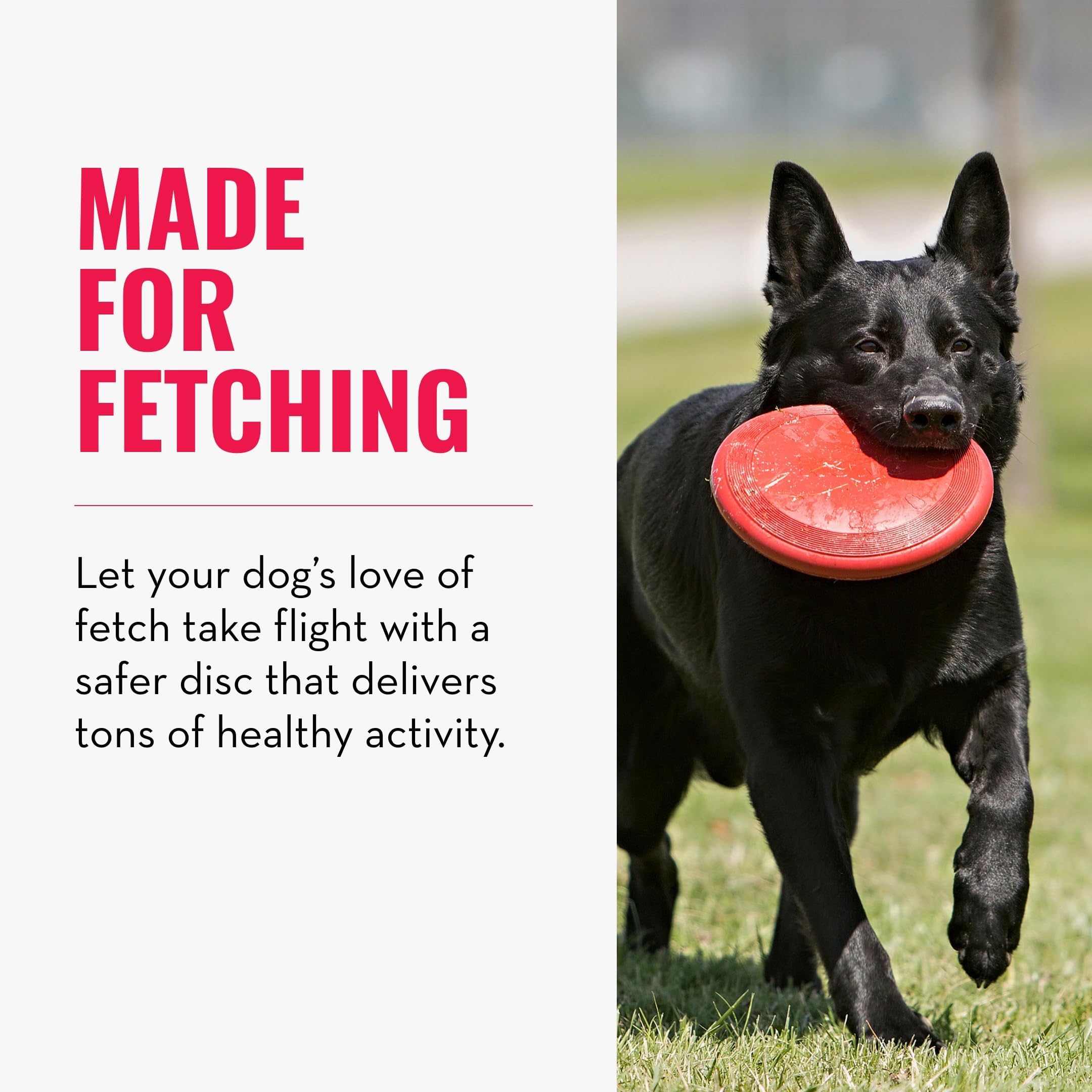 KONG Flyer catch-action demonstrates safe, comfortable catches during play