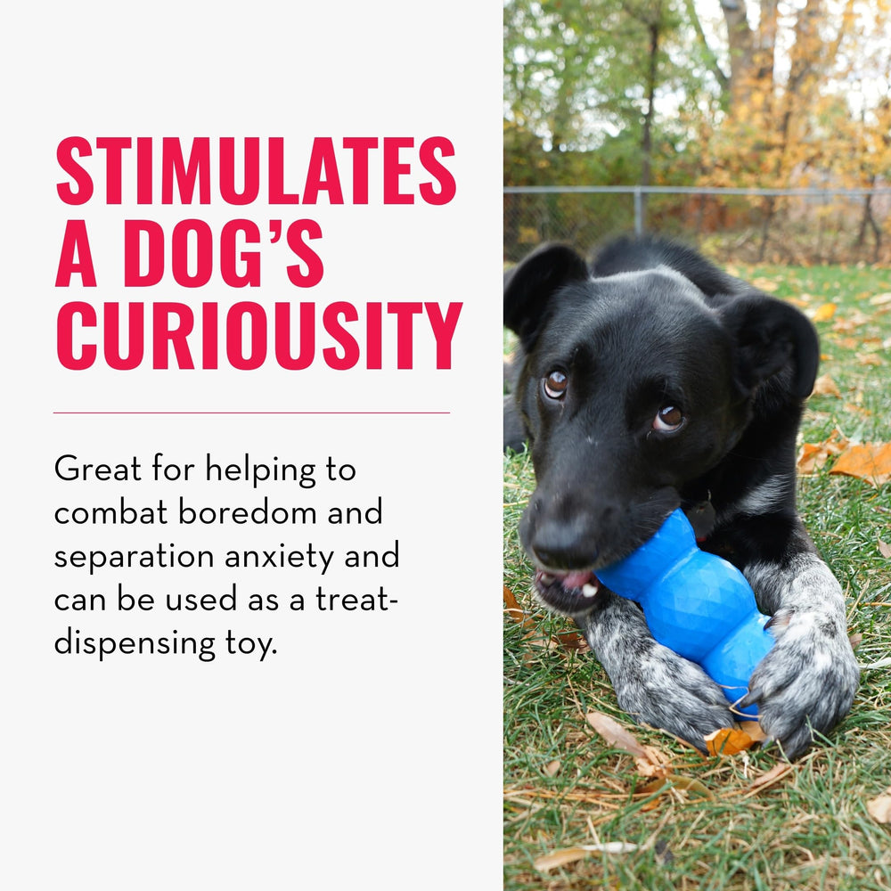 KONG Genius Mike boredom-buster helps reduce idle chewing and anxiety.