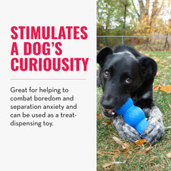 KONG Genius Mike boredom-buster helps reduce idle chewing and anxiety.