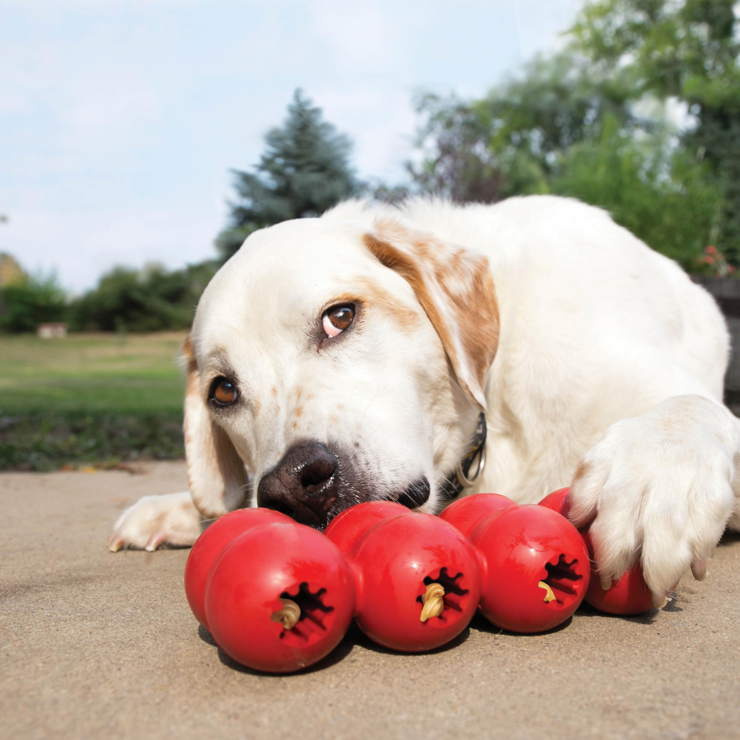 Close-up of internal ridges in KONG Goodie Ribbon aiding treat retrieval
