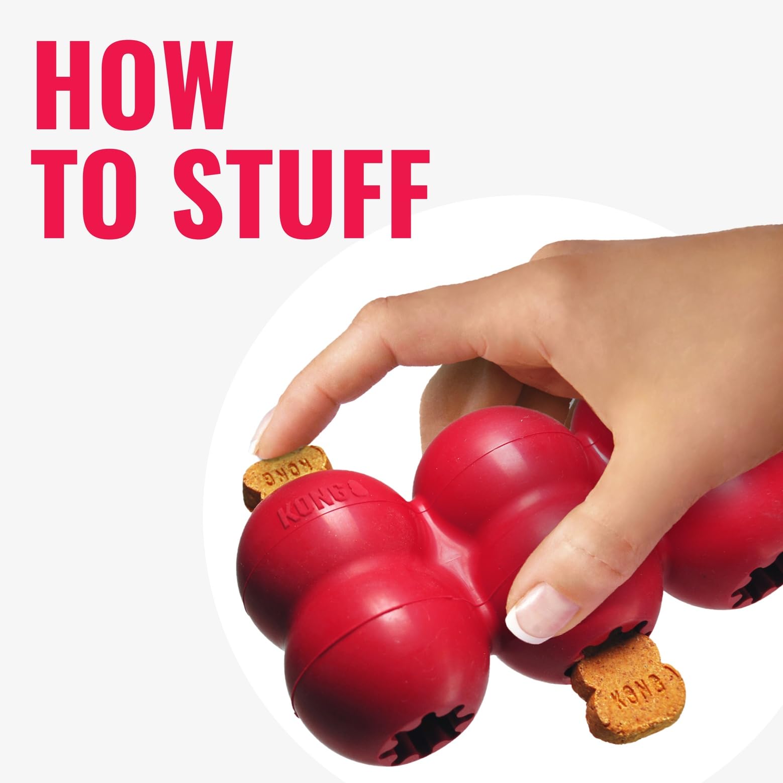 KONG Goodie Ribbon small dogs use scene, easy stuffing with treats