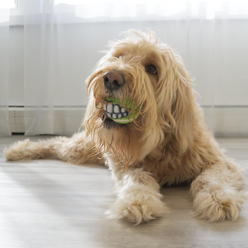 KONG Grinz tennis ball shows textured grip for reliable bounce and play.