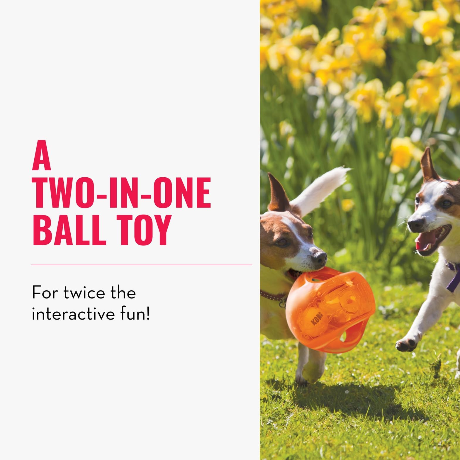 KONG Jumbler Ball interior-tennis-ball feature boosts chase and retrieval excitement.
