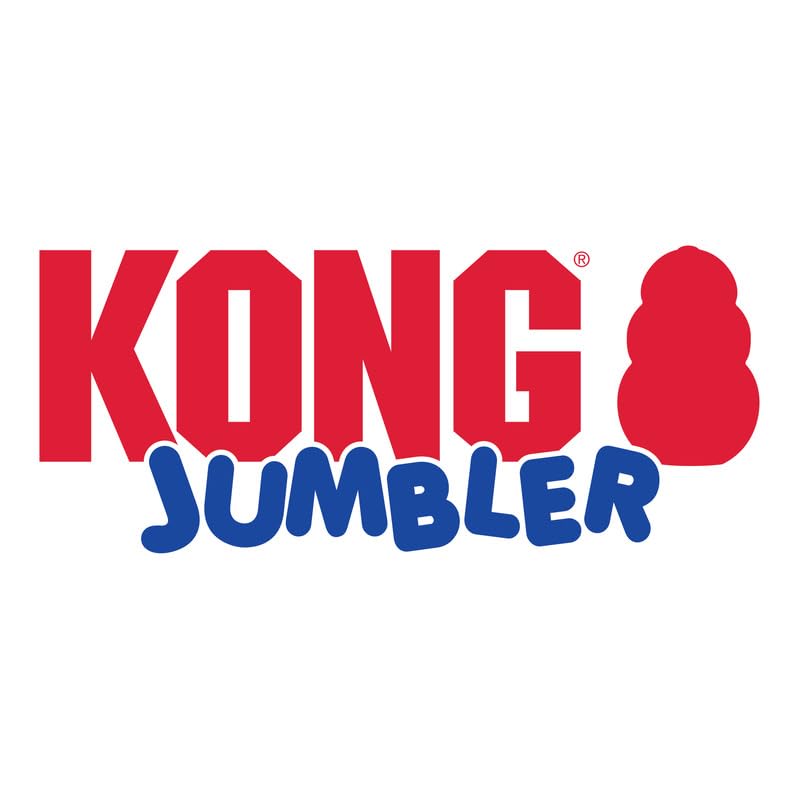 KONG Jumbler Ball demonstrates unpredictable bounce that sparks energetic play.