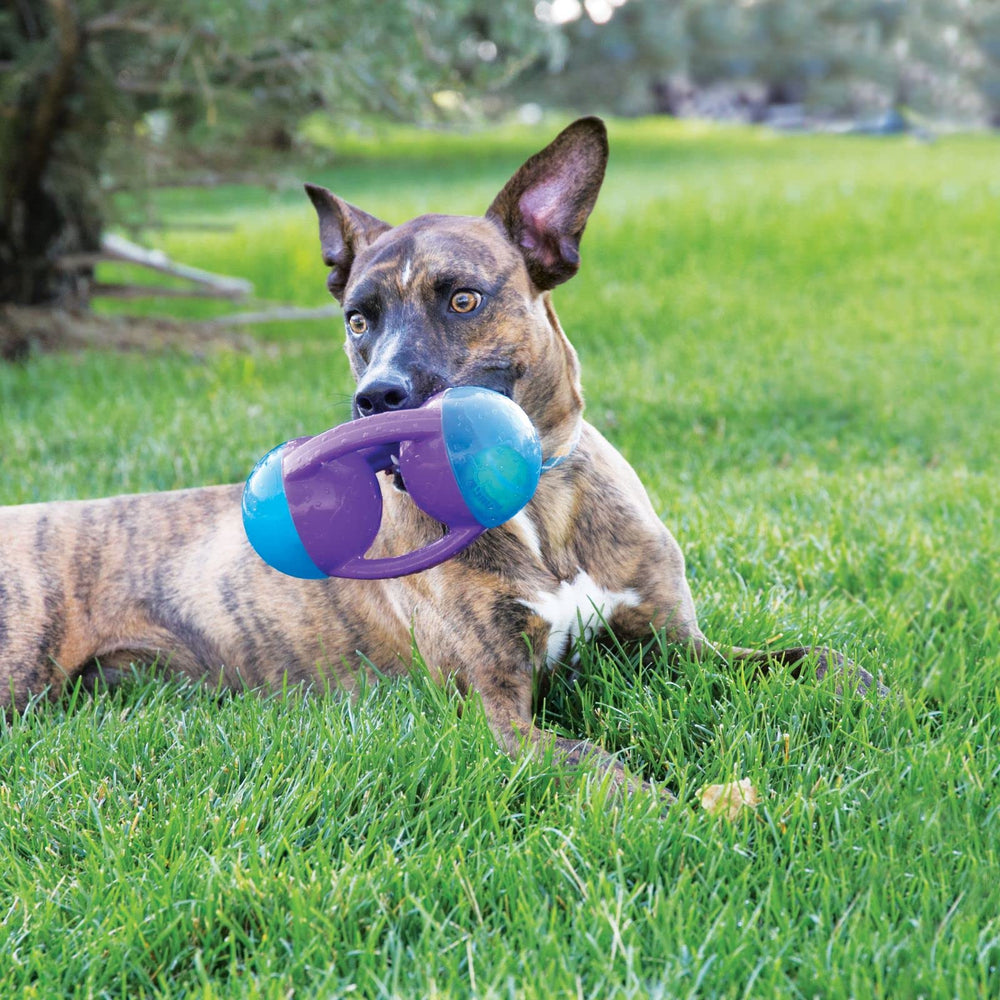 KONG Jumbler Disc Toy shows easy pickup handles for shaking play.