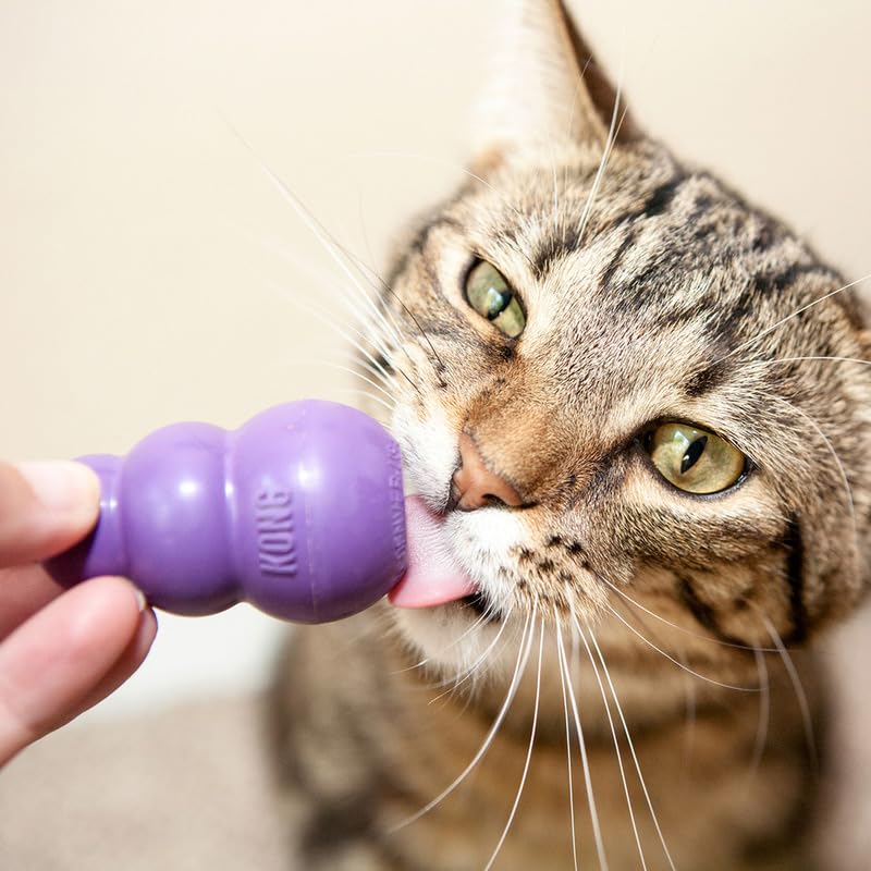 KONG Kitty Classic Fillable Treat-Dispensing Toy engages foraging instincts.