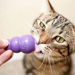 KONG Kitty Classic Fillable Treat-Dispensing Toy engages foraging instincts.