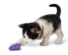 KONG Kitty Classic Lightweight Durable Rubber is safe for gentle mouths and paws.