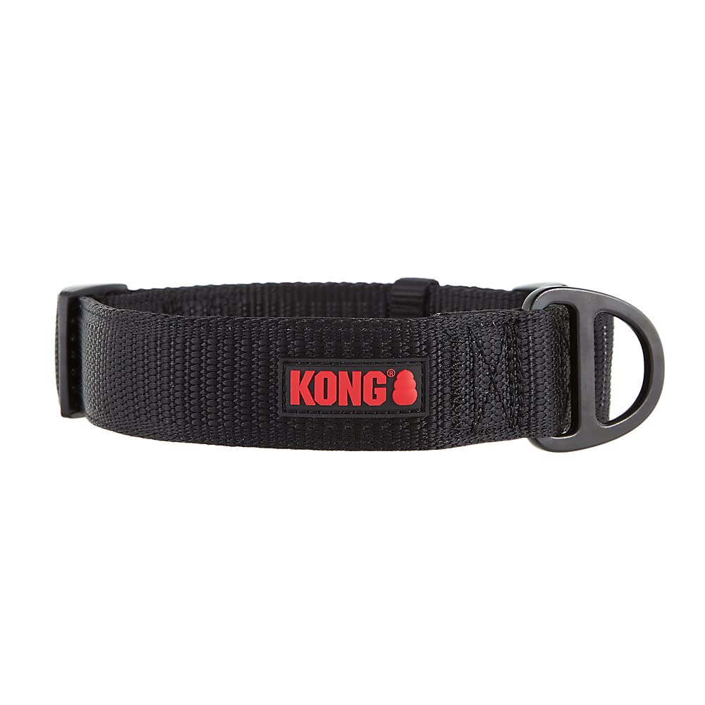 KONG Max HD dog collar neoprene padding for comfortable daily walks.