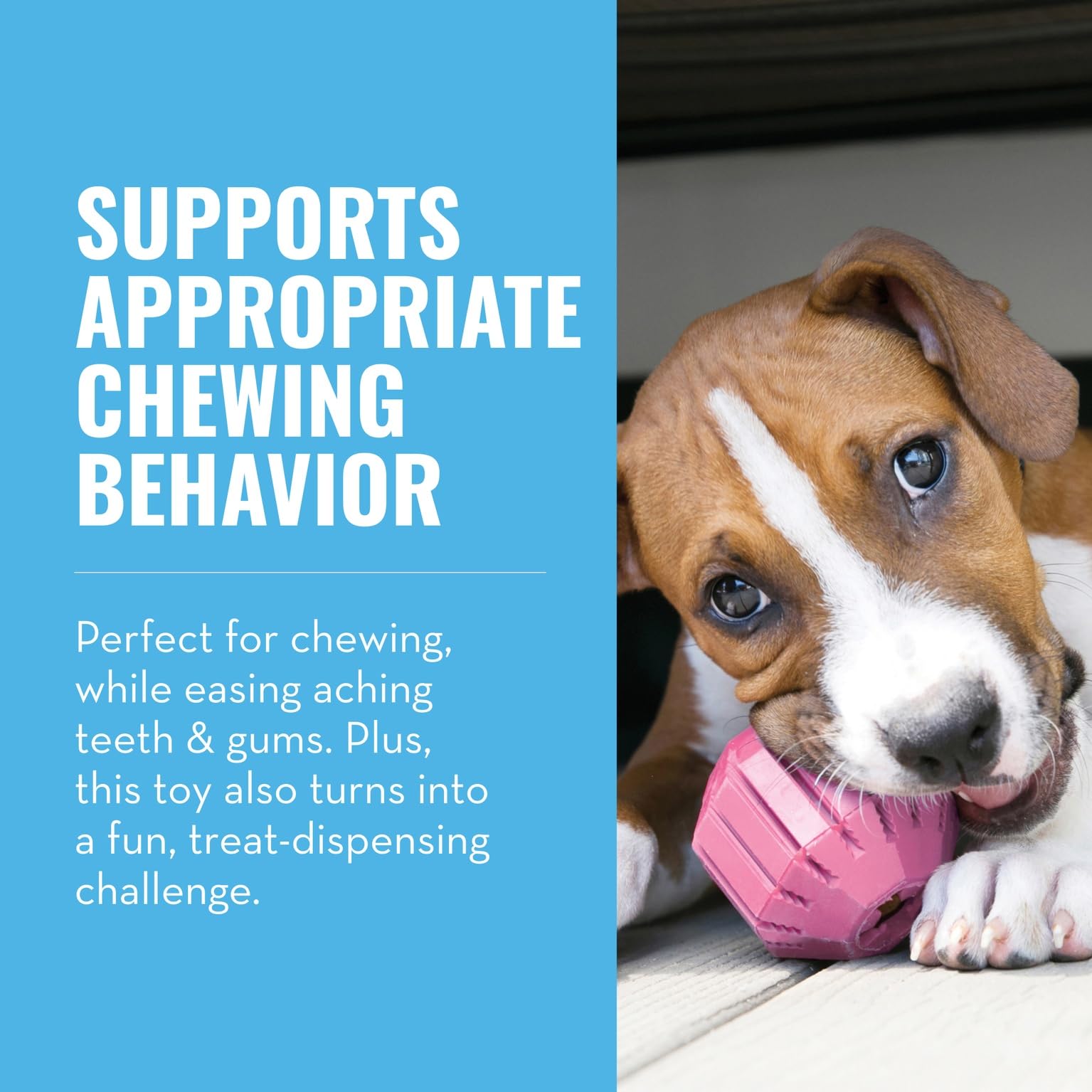 KONG Puppy Activity Ball closeup-dent-ridges shows teeth-cleaning ridges for gums.