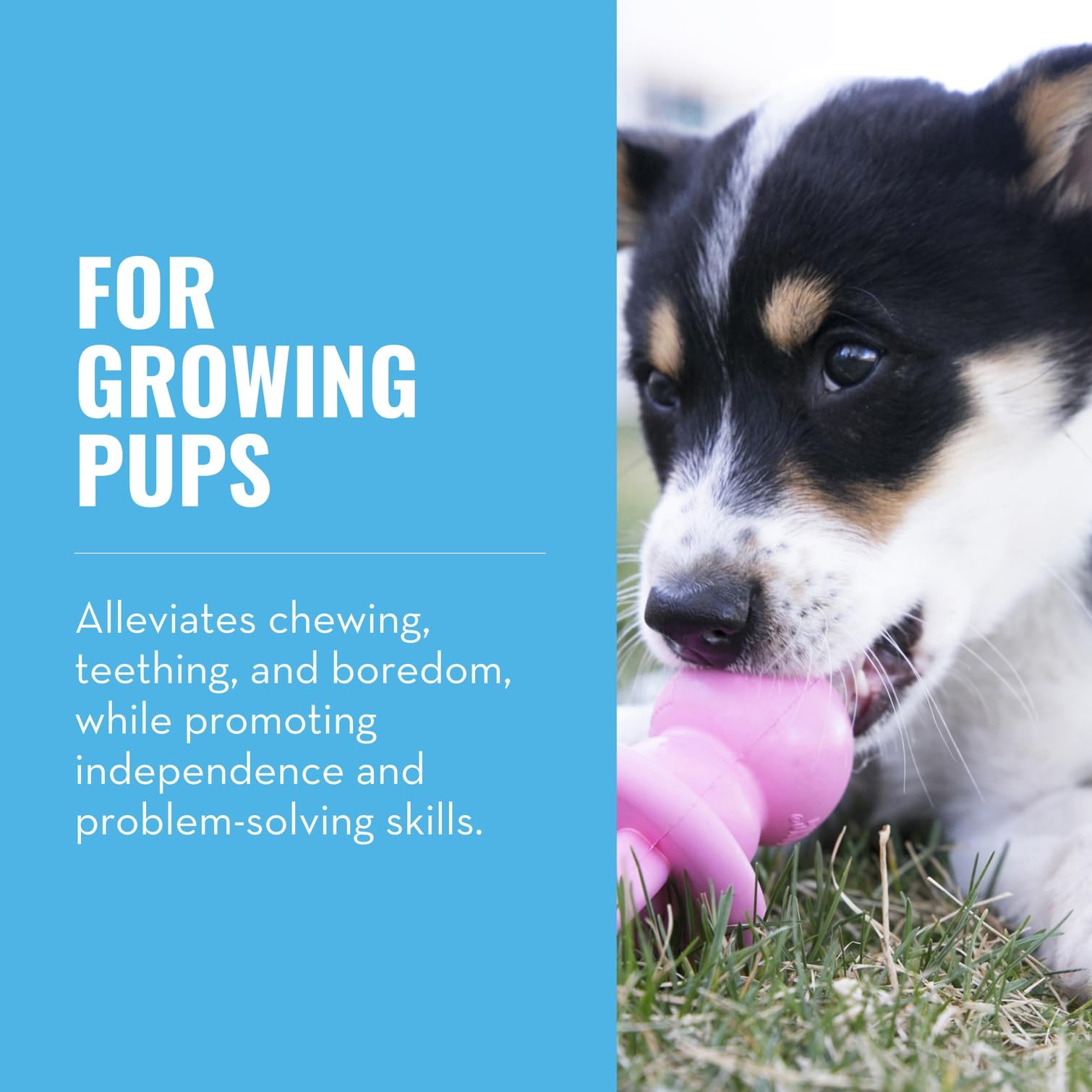 KONG Puppy Binkie soft rubber close-up shows durable material for chewing.