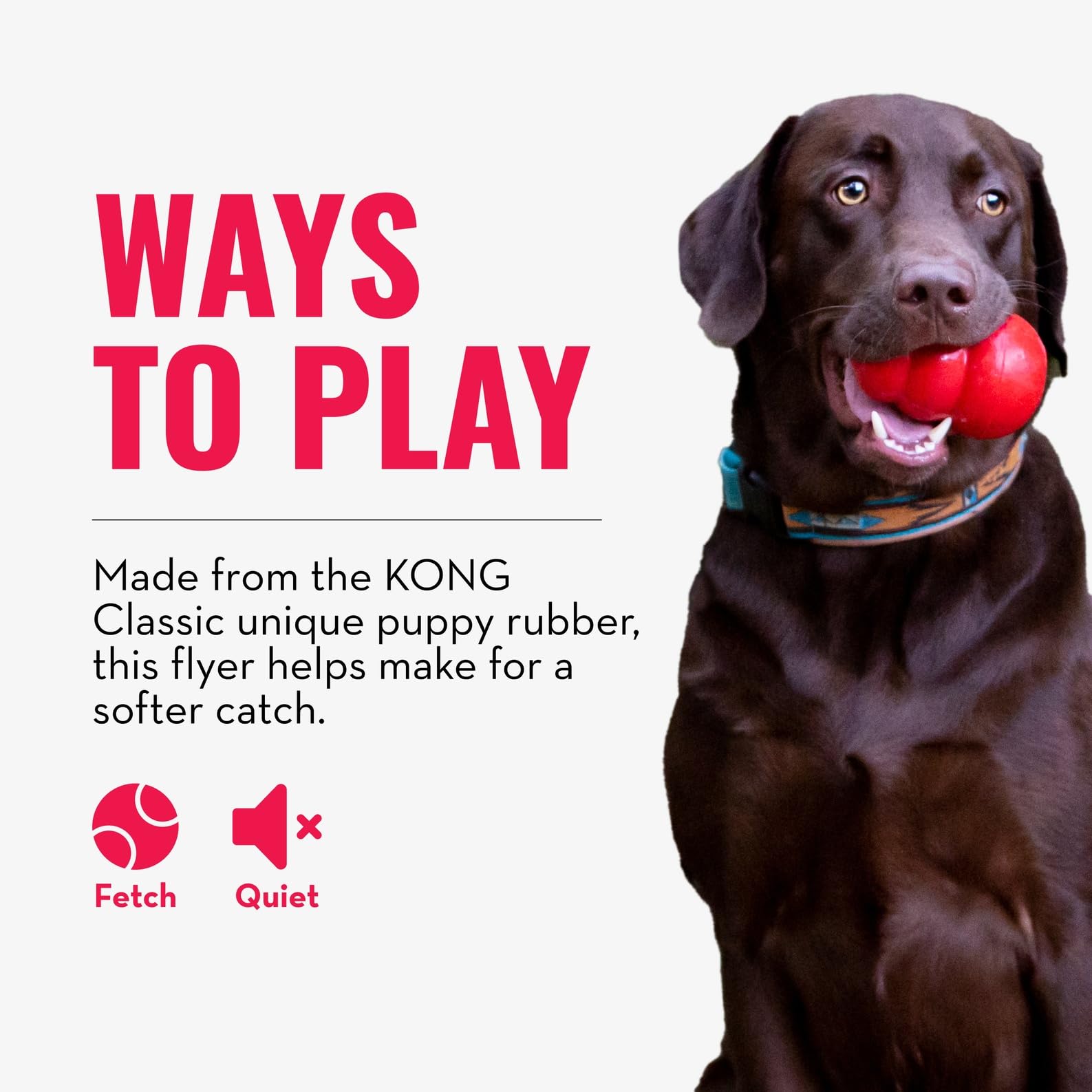 KONG Puppy Flyer on grass illustrates small-puppy exercise and activity