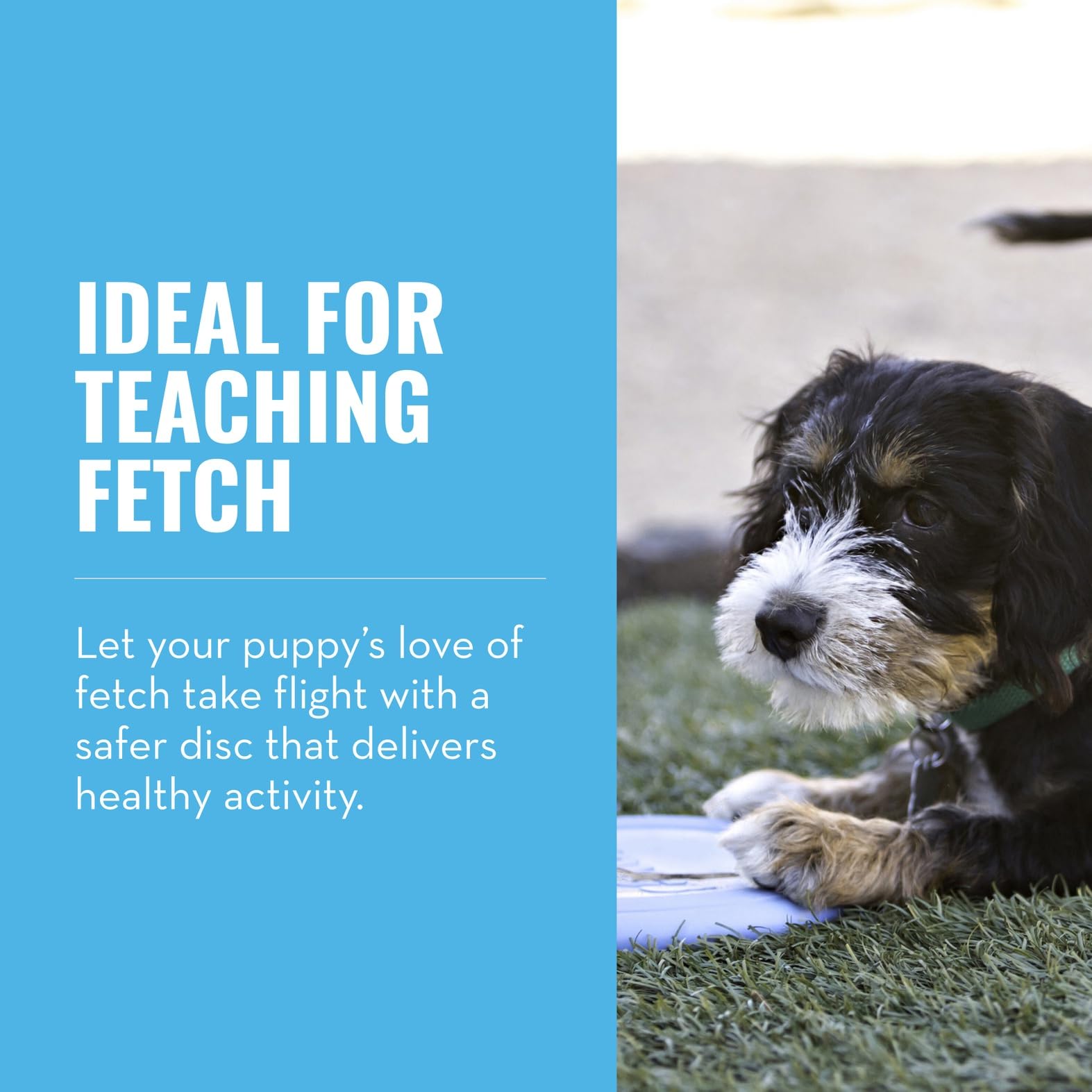 KONG Puppy Flyer midair shot demonstrates dynamic rebound during play