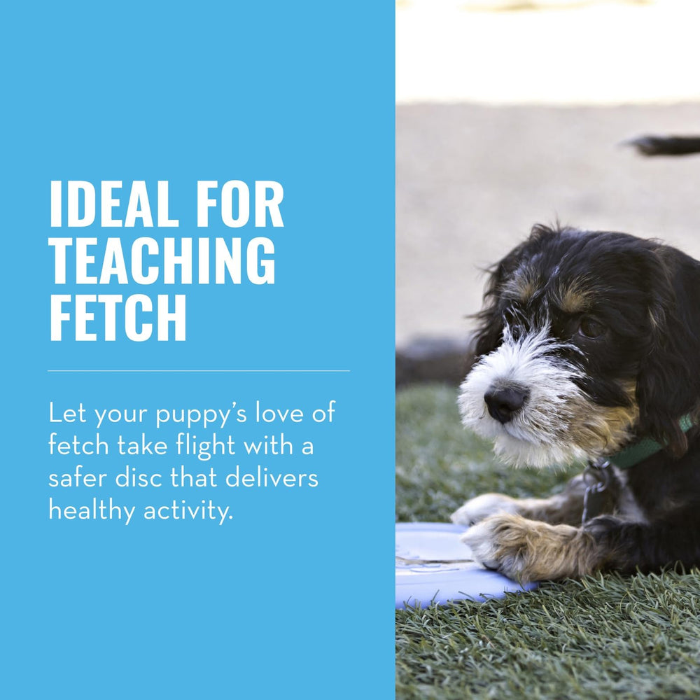 KONG Puppy Flyer midair shot demonstrates dynamic rebound during play