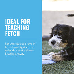 KONG Puppy Flyer midair shot demonstrates dynamic rebound during play