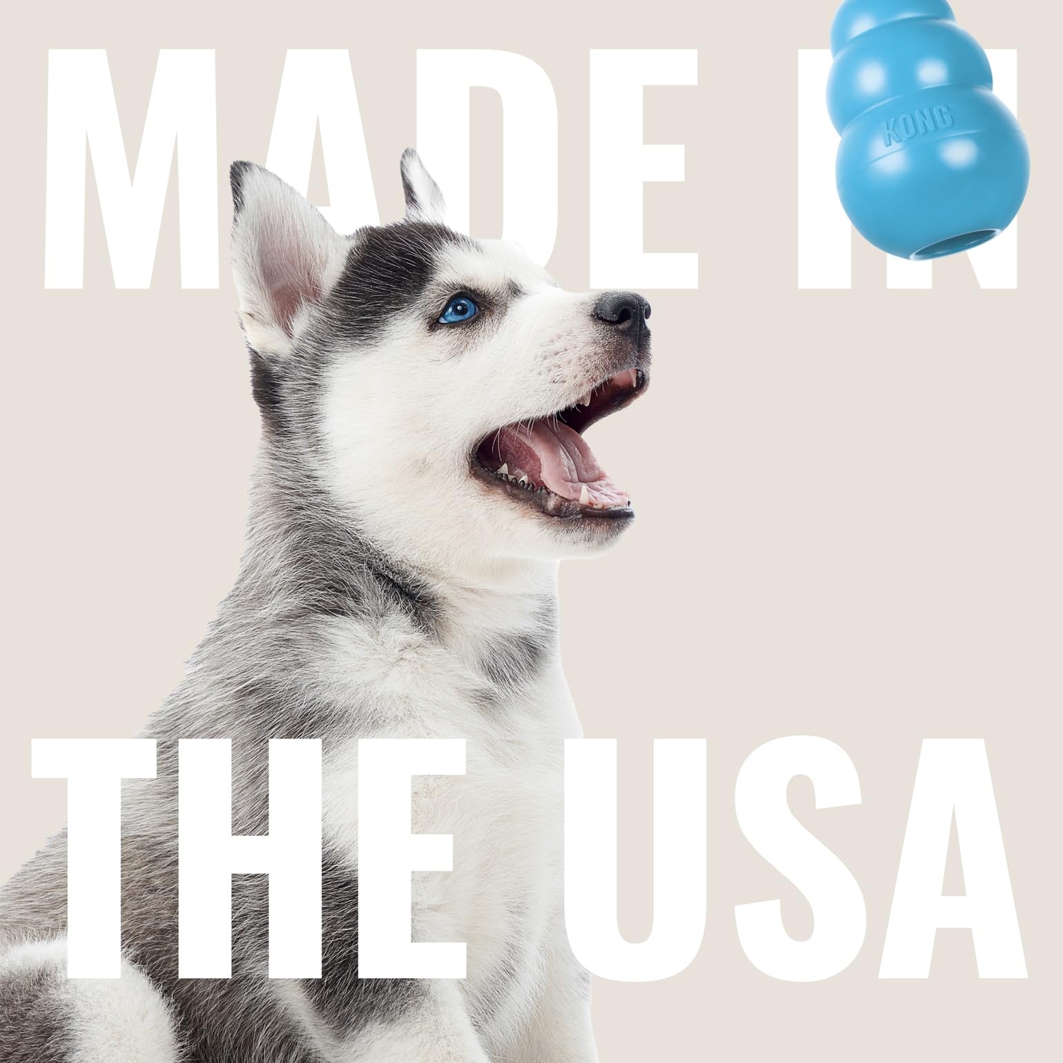 KONG Puppy Goodie Bone Blue rubber detail highlights safe chew-ready material