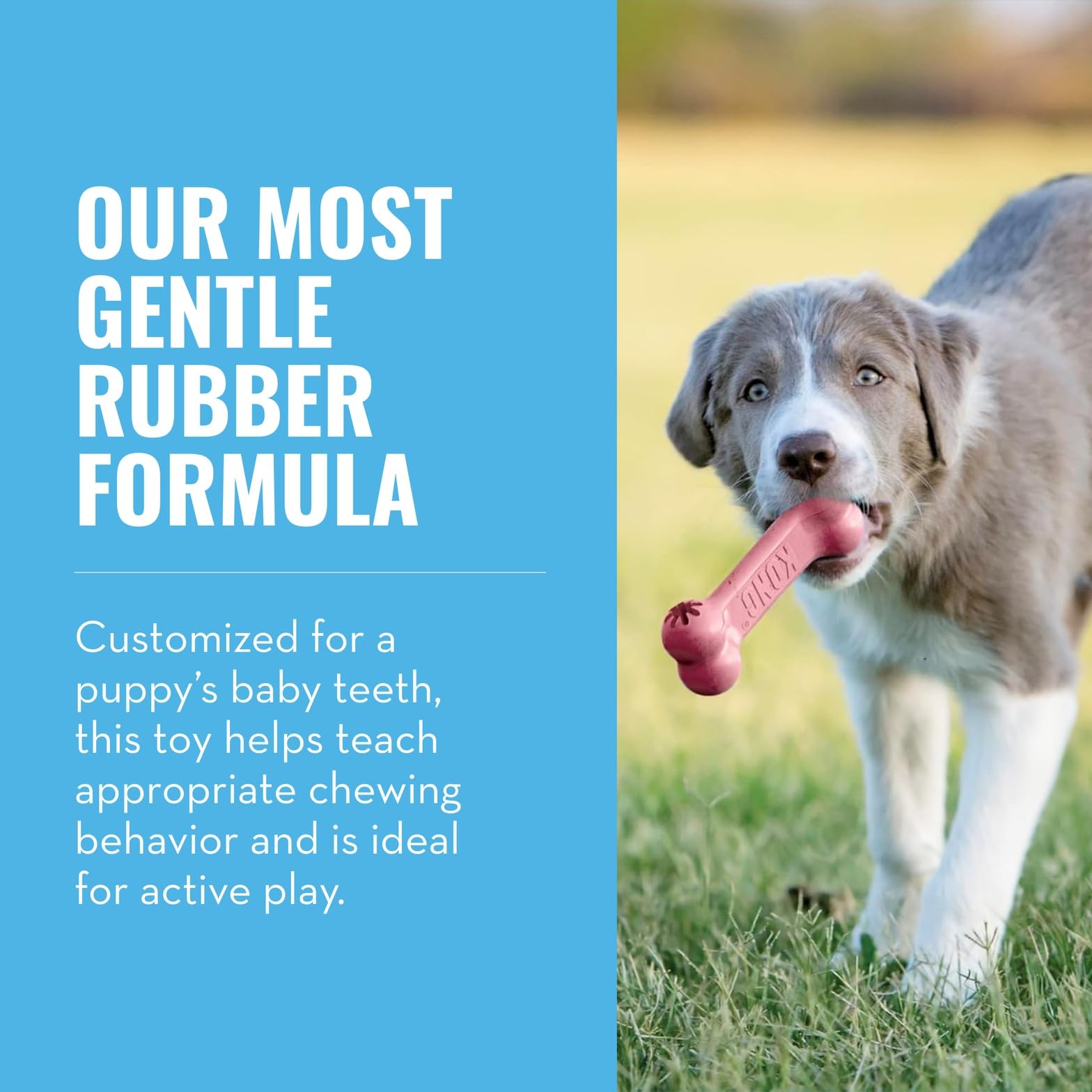 KONG Puppy Goodie Bone pink stuffed with treats demonstrating enrichment for small dogs.