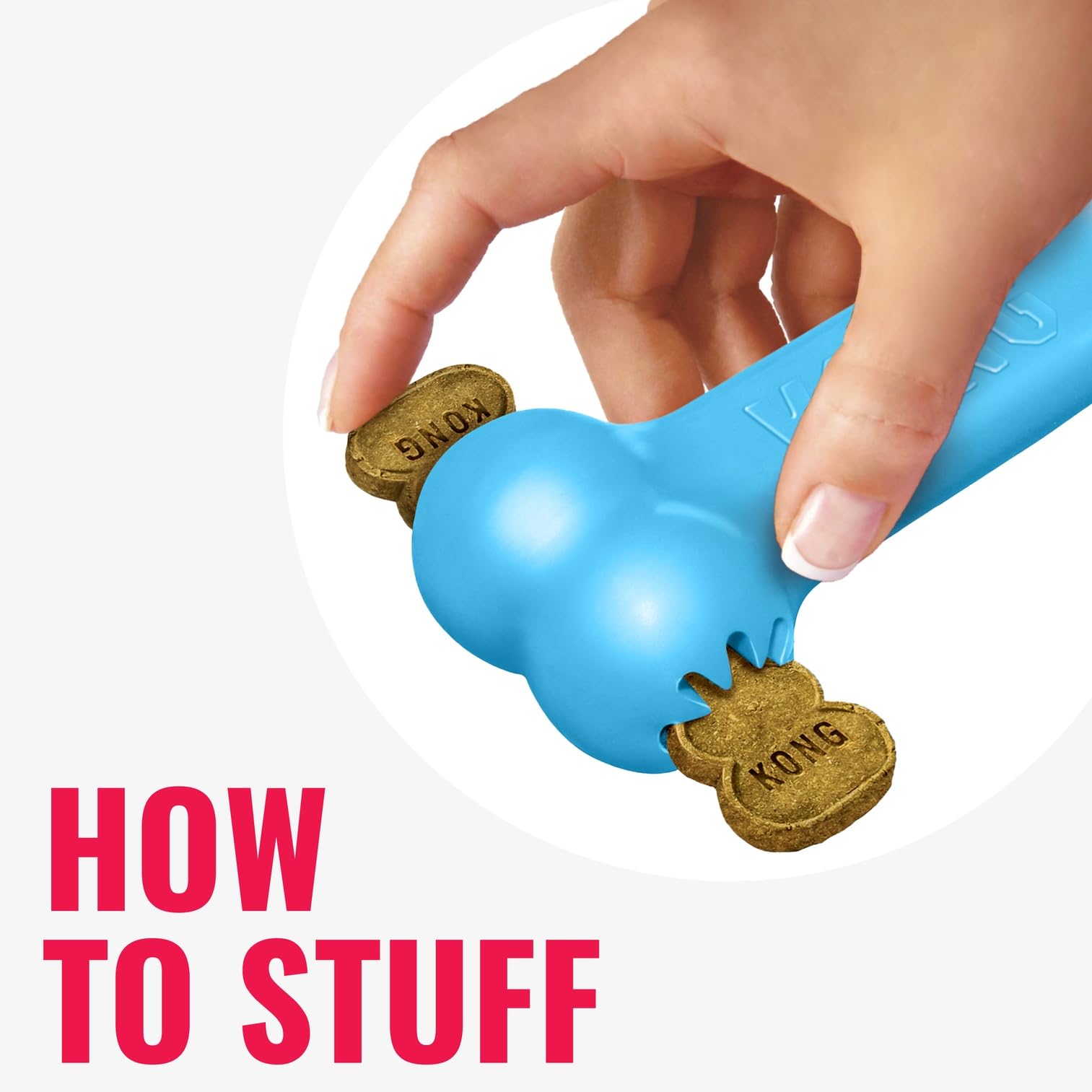 KONG Puppy Goodie Bone small dog play view for curious puppies.