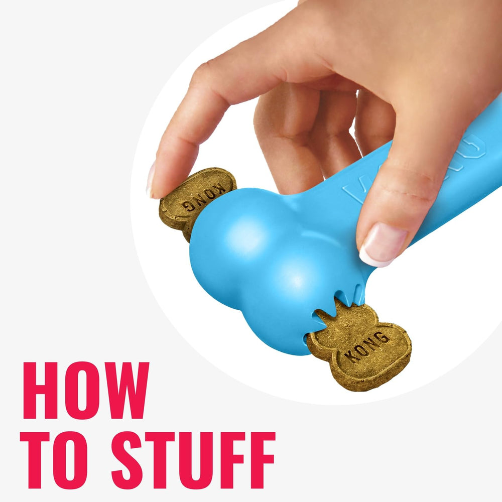 KONG Puppy Goodie Bone small dog play view for curious puppies.