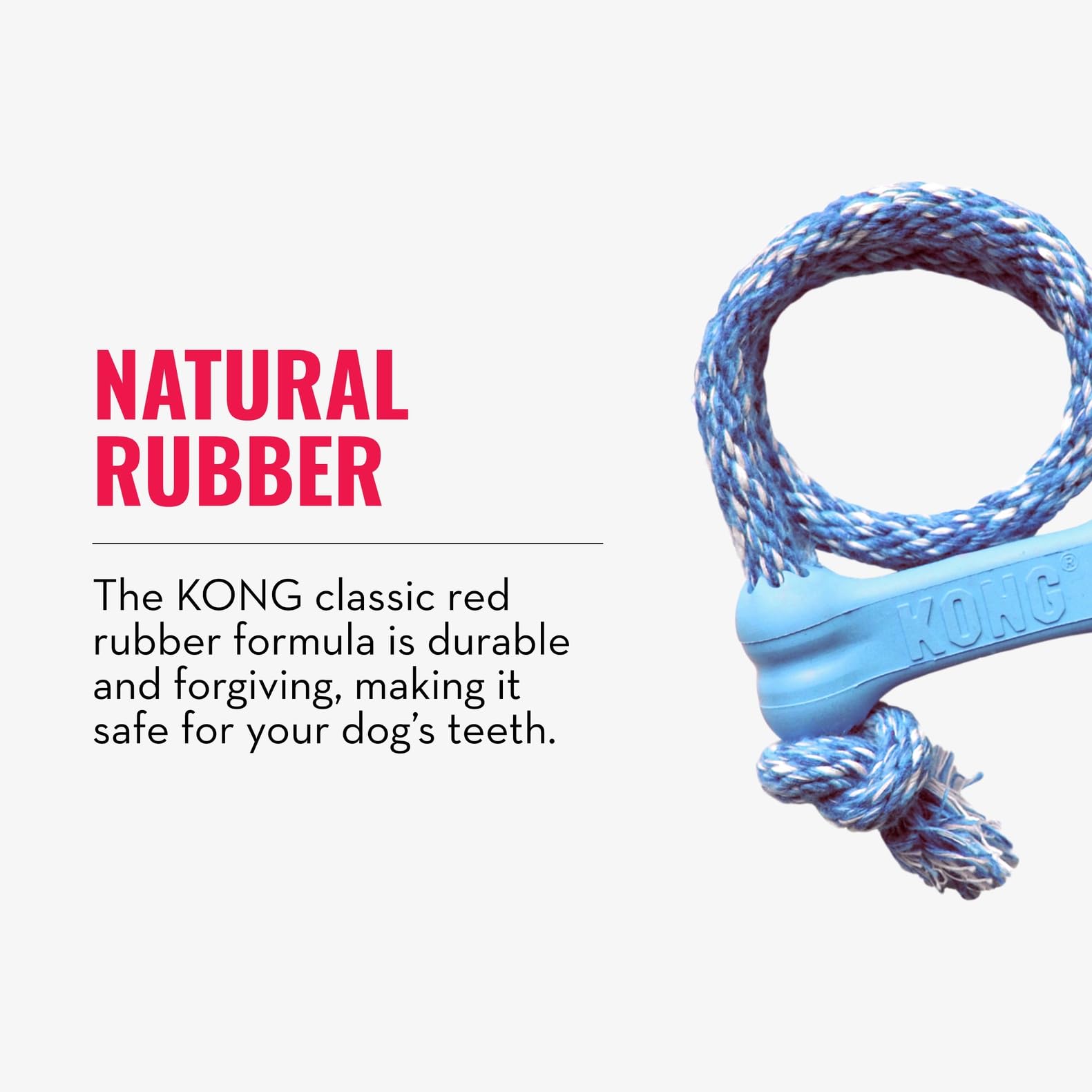 KONG Puppy Goodie Bone with Rope Blue teething friendly chew option