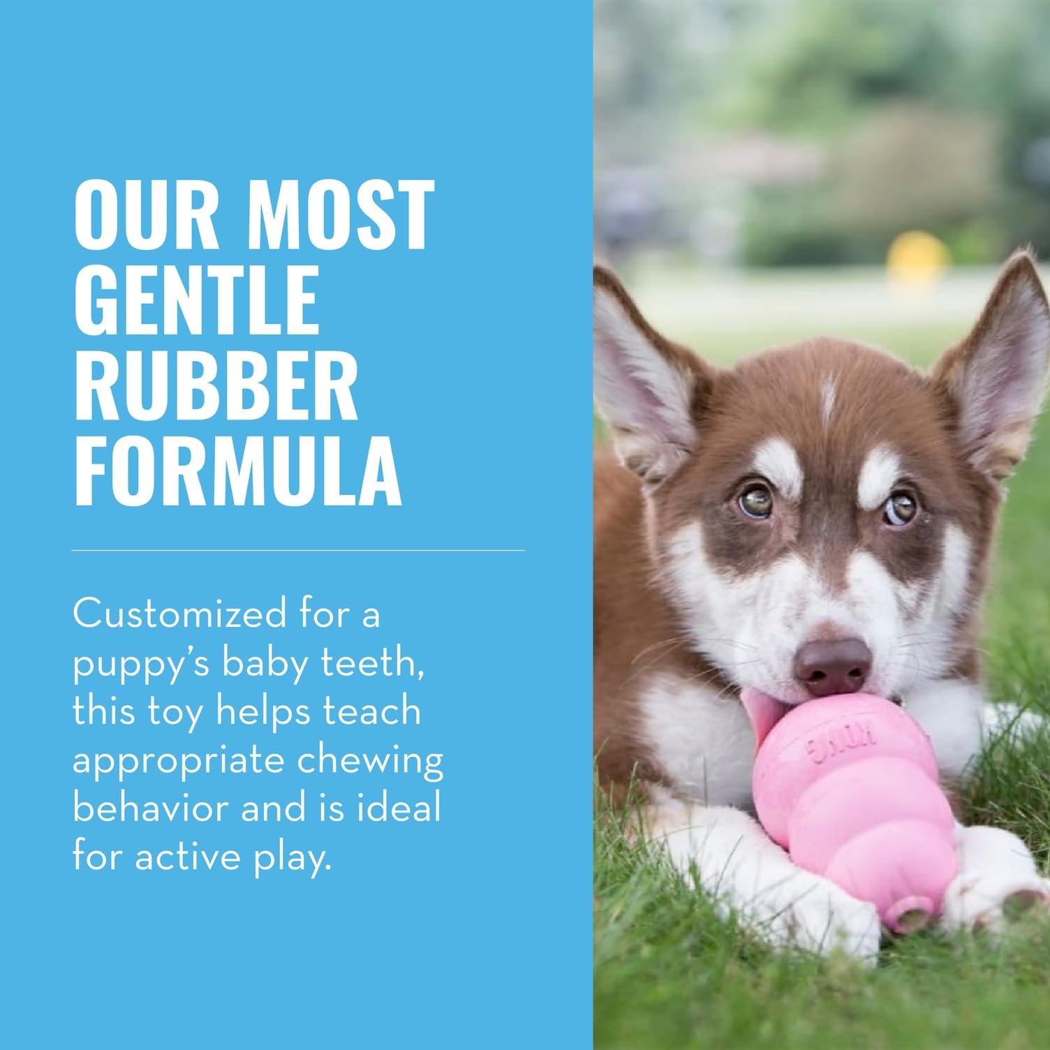 KONG Puppy pink color shot for visible training toy and positive reinforcement.