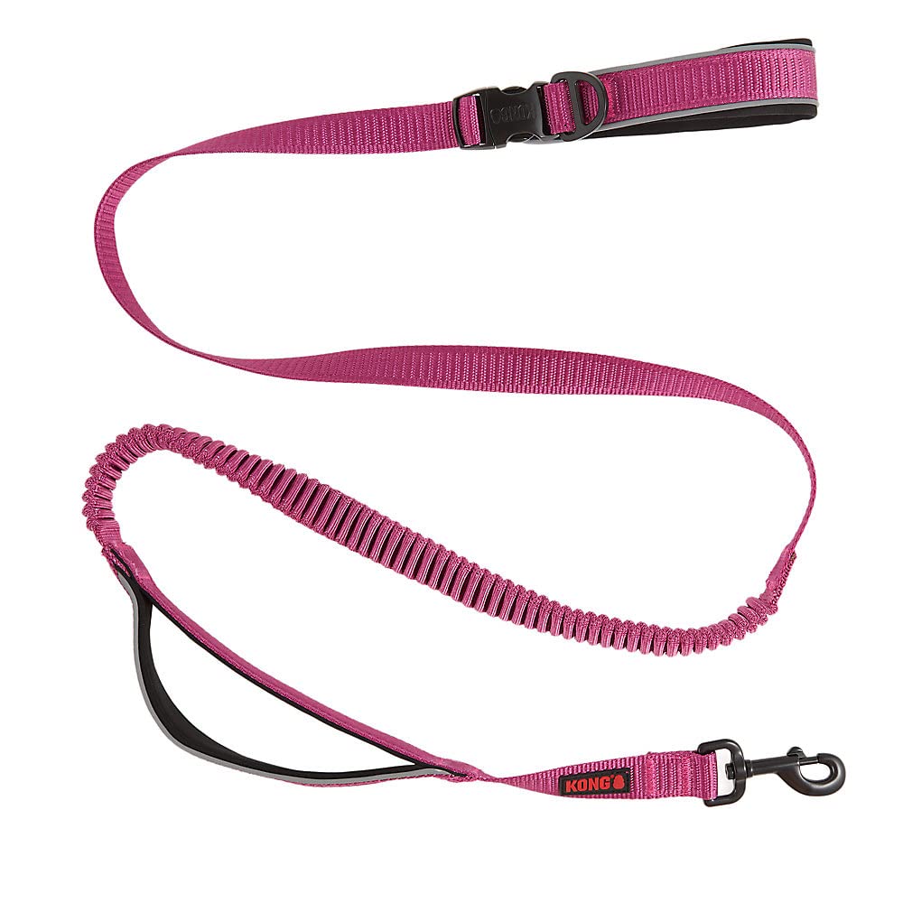 KONG Reflective Shock-Absorbing Leash waist-strap view enables convenient hands-free use in public spaces