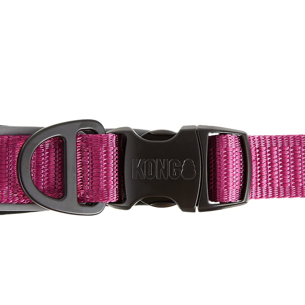 KONG reflective-stitching-pink-leash shows visibility features for safer evening outings
