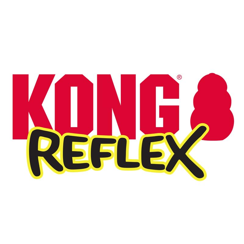 KONG Reflex Ball in action with a dog for interactive play sessions