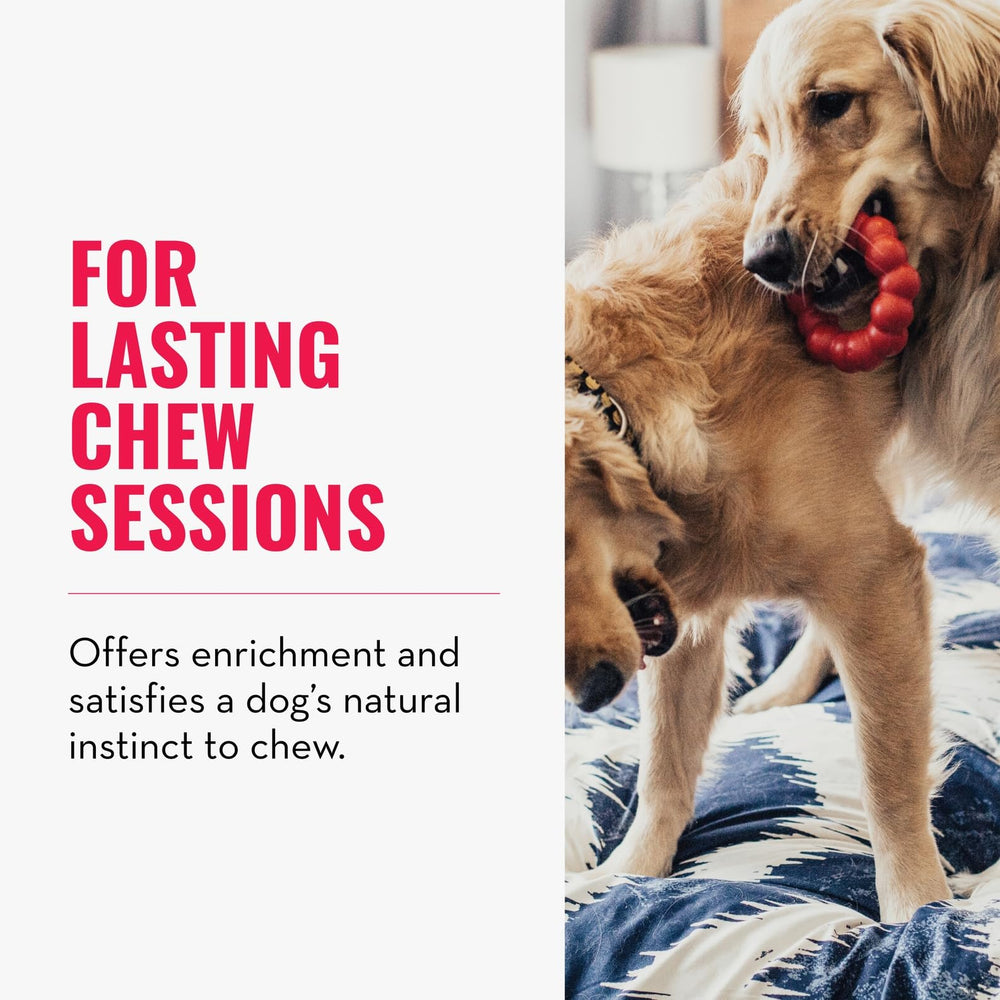Dogs enjoying play with the KONG Ring during a lively session.