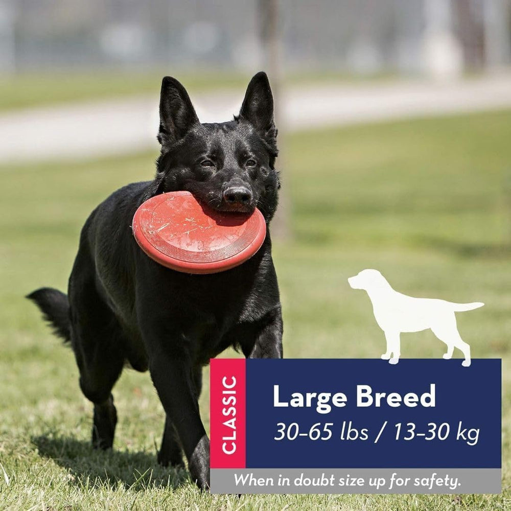 KONG Rubber Flyer large 2-pack red back view in backyard setup