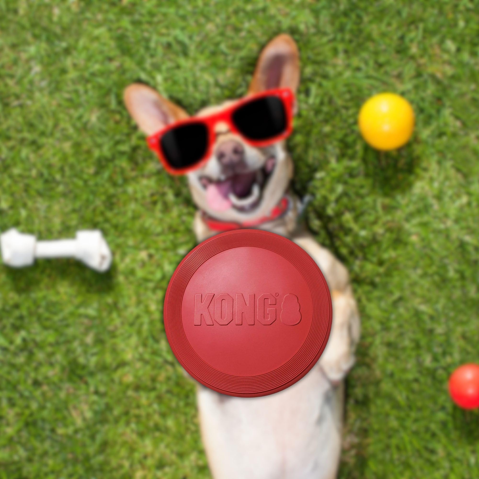 KONG Rubber Flyer large 2-pack red close-up texture showing chew-friendly rubber