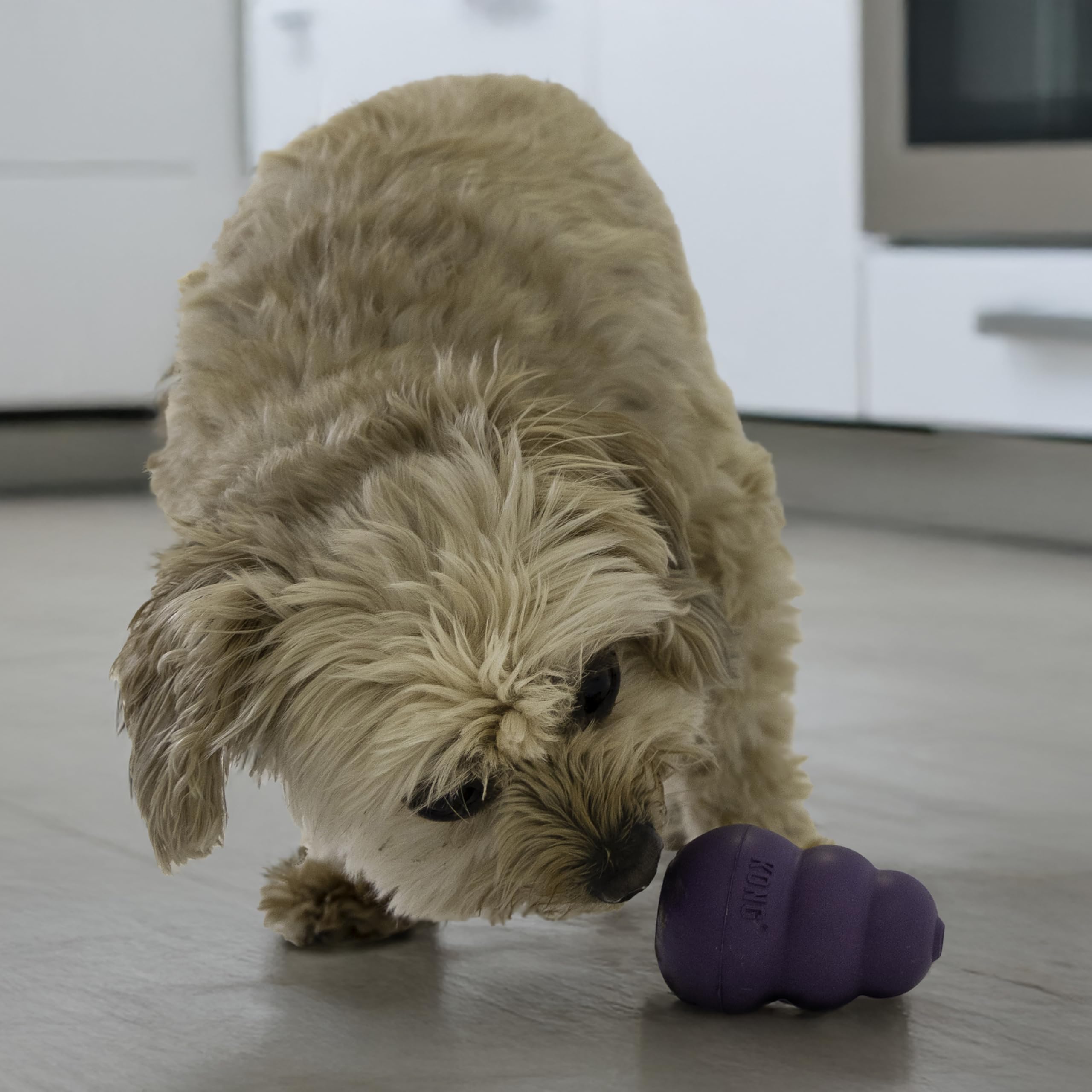 KONG Senior stuffed-treat image demonstrates treat-dispensing enrichment