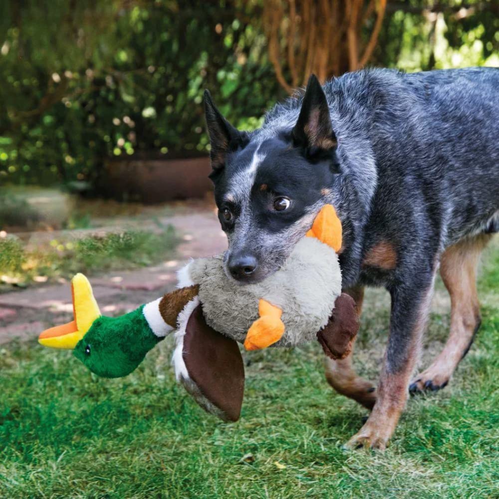 KONG Shakers Honkers Duck plush toy enhances interactive games and bonding moments