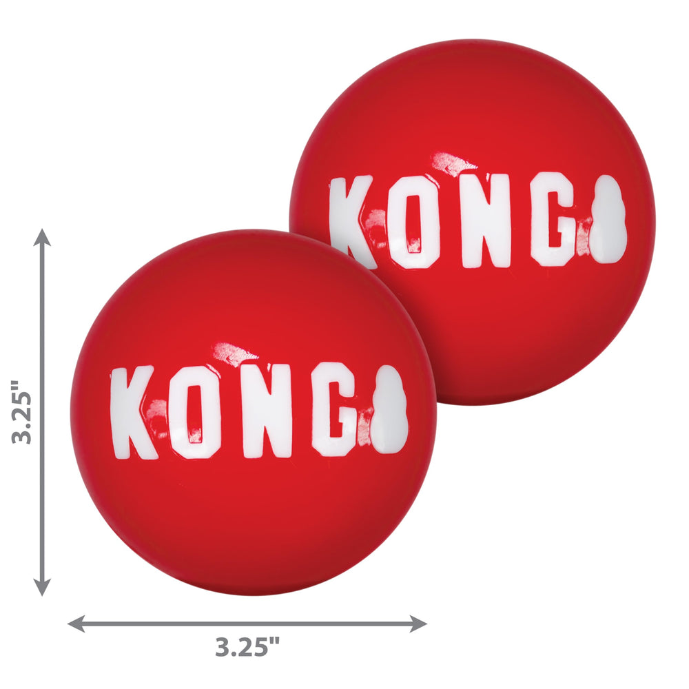 KONG Signature Balls outdoor fetch session in yard with large dog