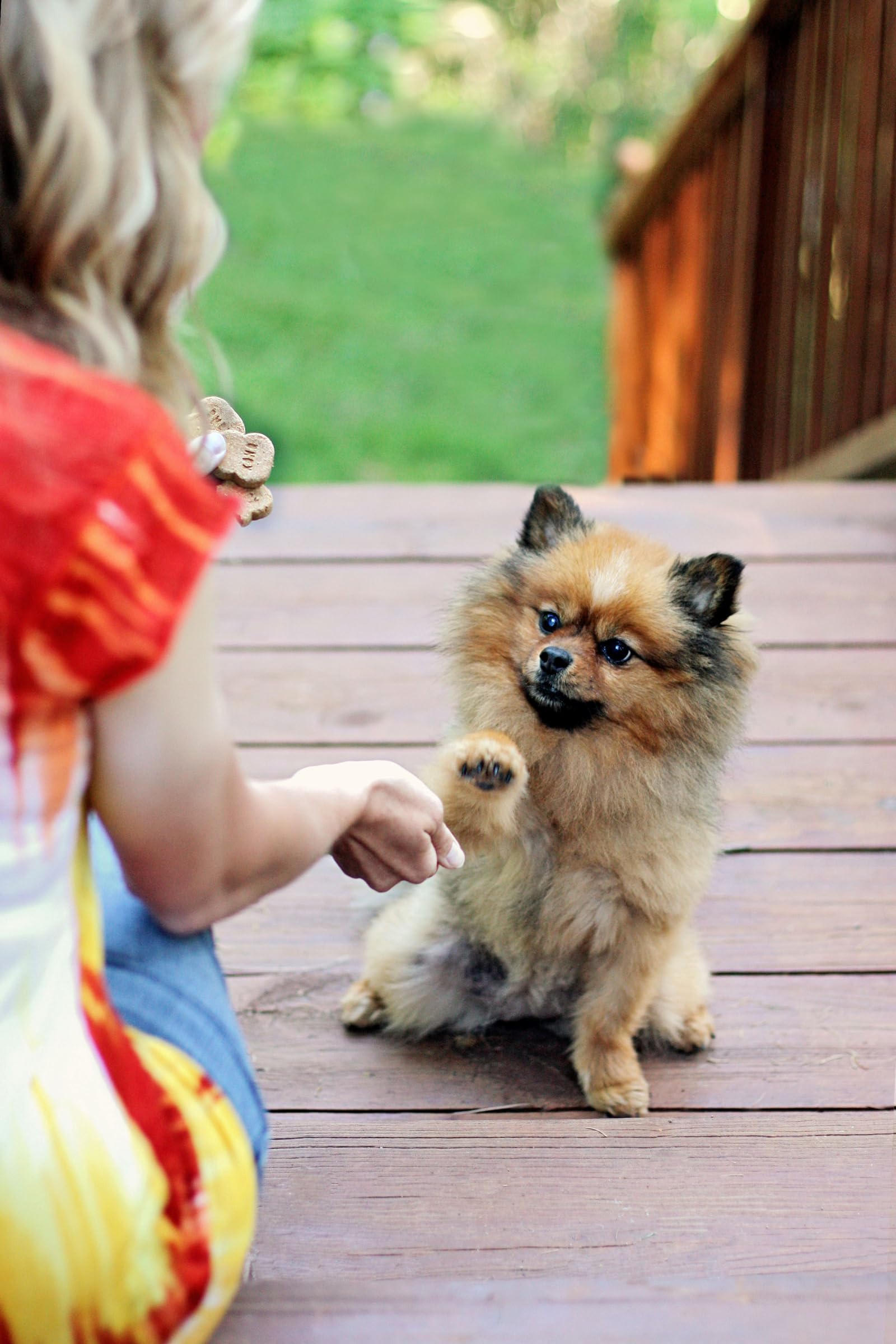 KONG Snacks puppy formula option in package for growing pups